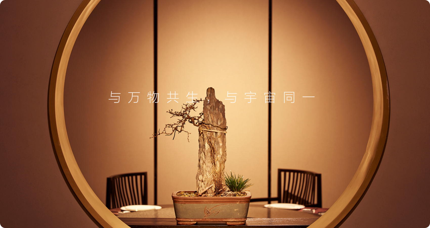 万物系列